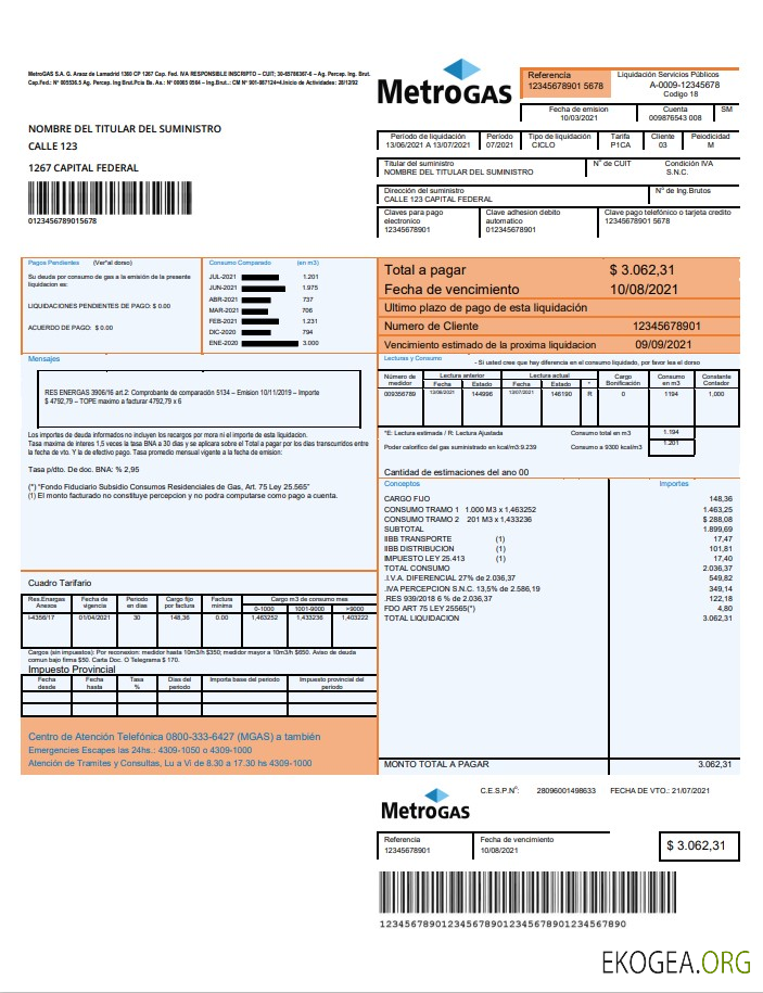 Argentina Metrogas easy to fill utility bill template in Word and PDF format